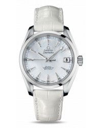 Omega Aqua Terra  Automatic Men's Watch, Stainless Steel, Silver Dial, 231.13.39.21.55.001