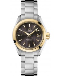 Omega Aqua Terra  Automatic Women's Watch, 18K Yellow Gold, Grey Dial, 231.20.30.20.06.004