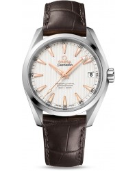 Omega Seamaster  Automatic Men's Watch, Stainless Steel, Silver Dial, 231.13.39.21.02.003