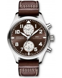 IWC Pilots  Chronograph Automatic Men's Watch, Stainless Steel, Brown Dial, IW387806