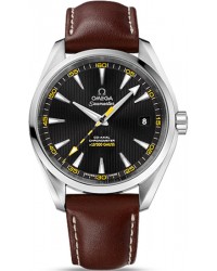 Omega Aqua Terra  Automatic Men's Watch, Stainless Steel, Black Dial, 231.12.42.21.01.001
